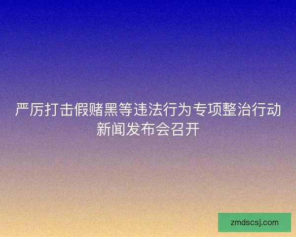 严厉打击假赌黑等违法行为专项整治行动新闻发布会召开