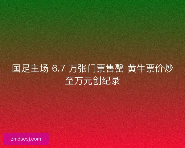 国足主场 6.7 万张门票售罄 黄牛票价炒至万元创纪录